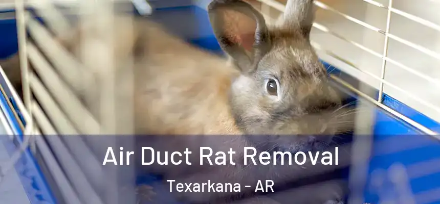  Air Duct Rat Removal Texarkana - AR