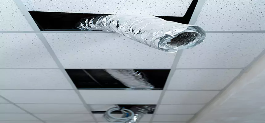 Our Air Duct Pet Hair Removal Services in Texarkana, AR