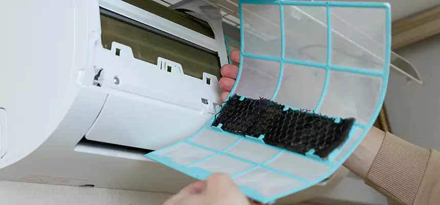 Gentle Ductwork Odor-Control Pet Dander Duct Cleaning in Texarkana, AR