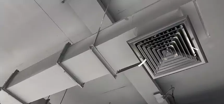 Our Rodent Droppings In Vents Services in Texarkana, AR