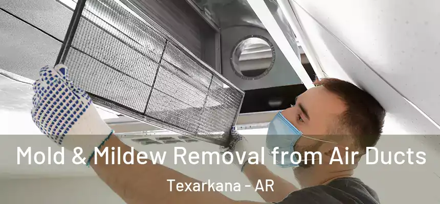  Mold & Mildew Removal from Air Ducts Texarkana - AR