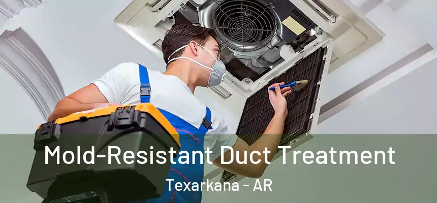 Mold-Resistant Duct Treatment Texarkana - AR