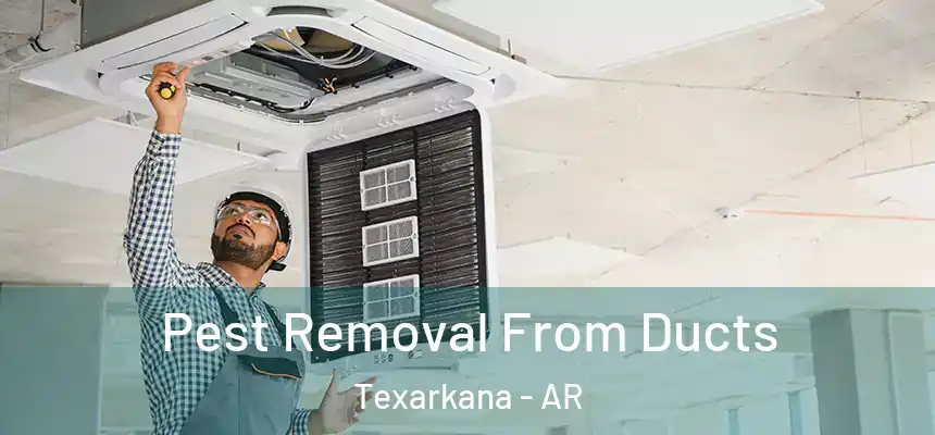  Pest Removal From Ducts Texarkana - AR