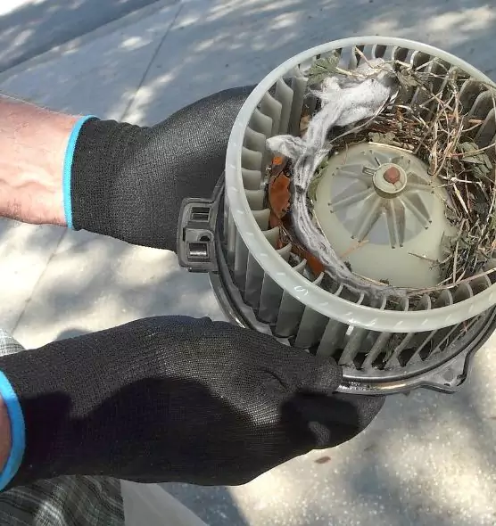 About Air Duct Mice Removal in Texarkana, AR