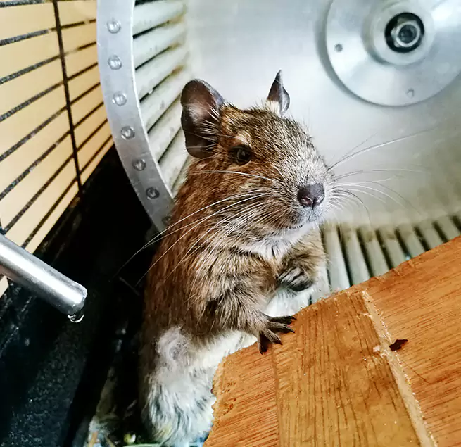 Why Homeowners & Businesses Trust Us Texarkana, AR?