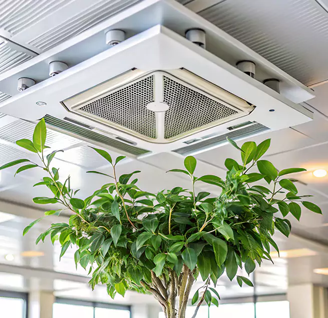 Why Homeowners & Businesses Trust Us in Texarkana, AR?